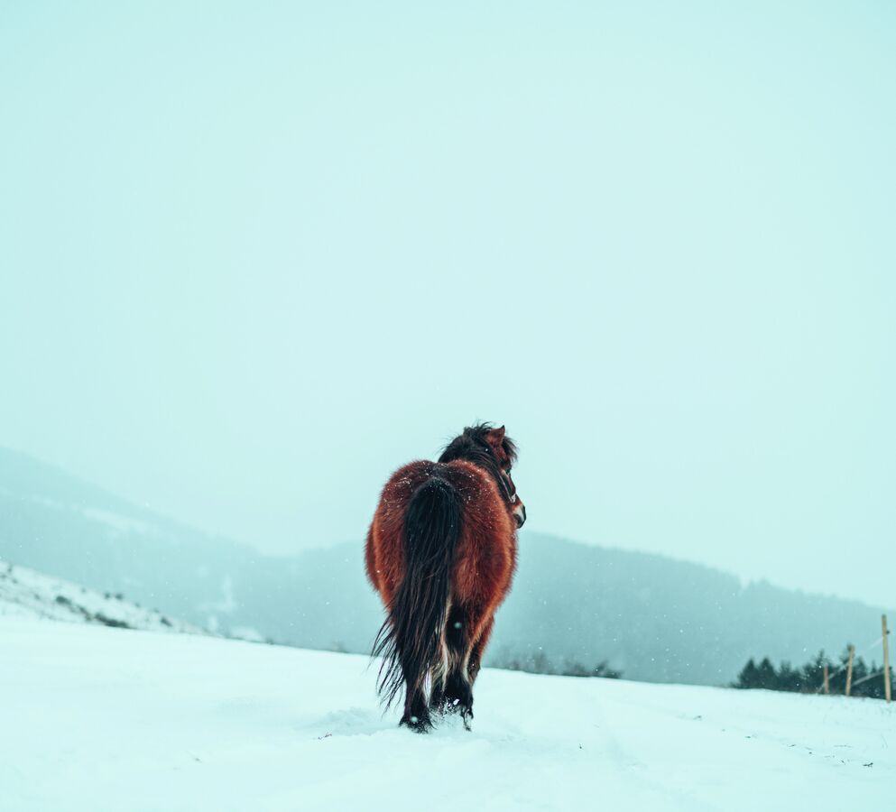 Рамбо